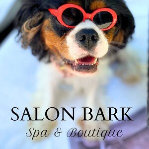 Salon Bark